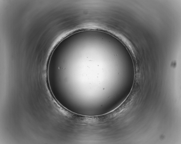 X0000099581191200805161228