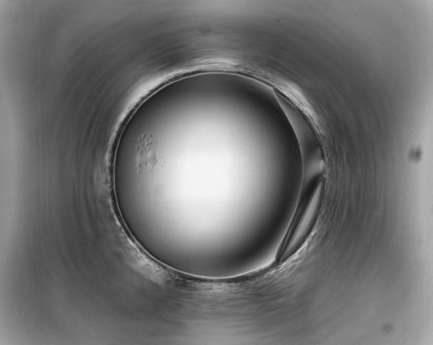 X0000099581192200805161228