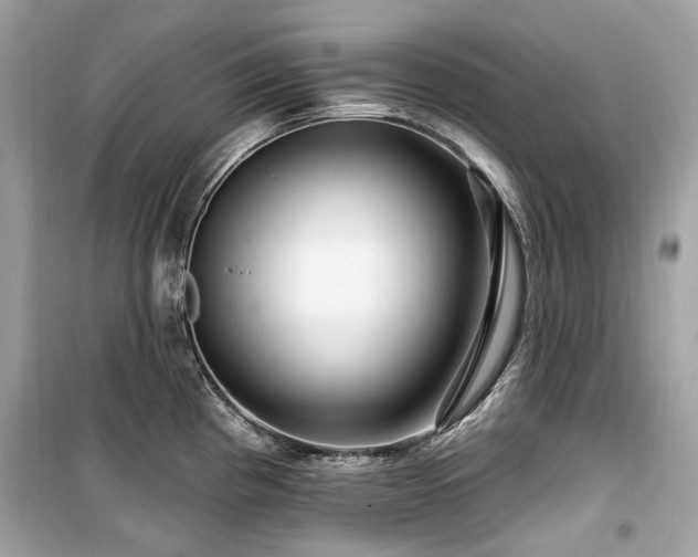 X0000099581193200805161228