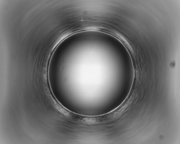 X0000099581194200805161228