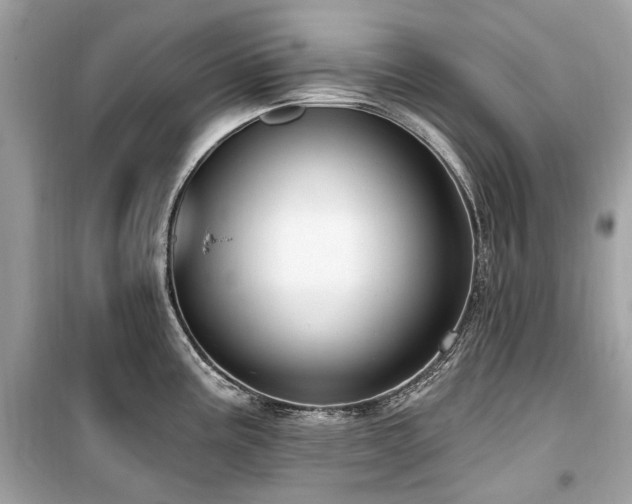 X0000099581195200805161228