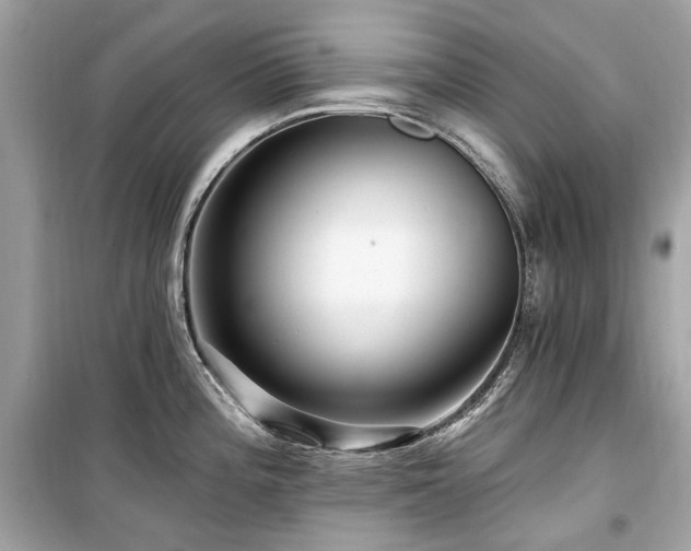 X0000099581196200805161228