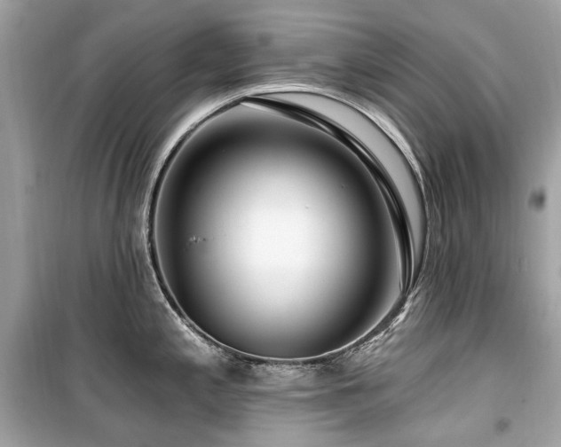 X0000099581197200805161228