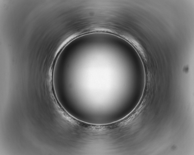 X0000099581198200805161228