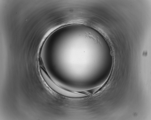X0000099581200200805161228