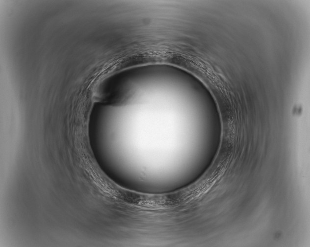 X0000099581201200805161227