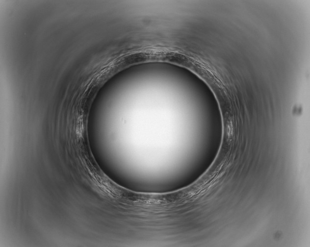 X0000099581204200805161227