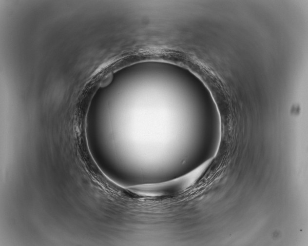 X0000099581206200805161227
