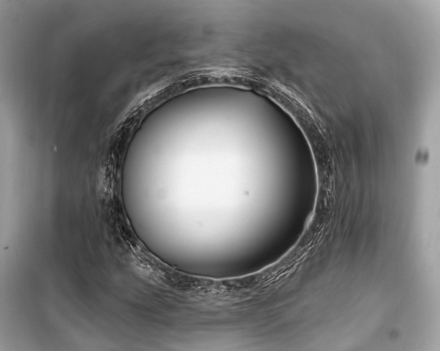 X0000099581207200805161227