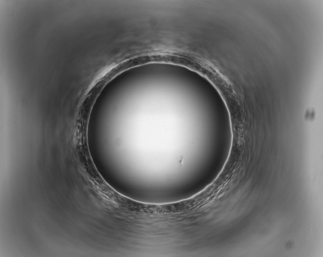 X0000099581208200805161227