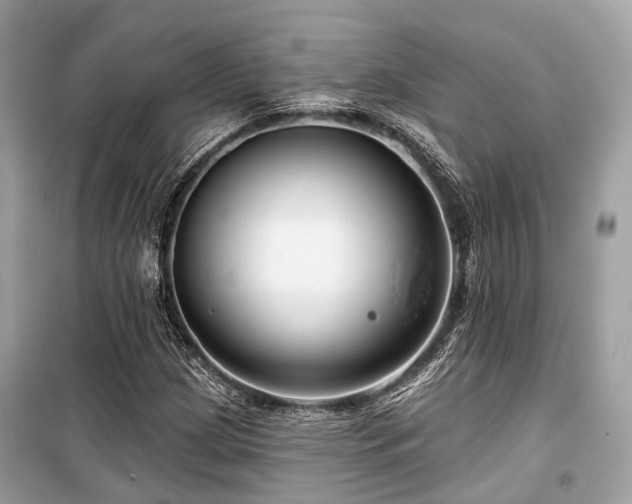 X0000099581209200805161227