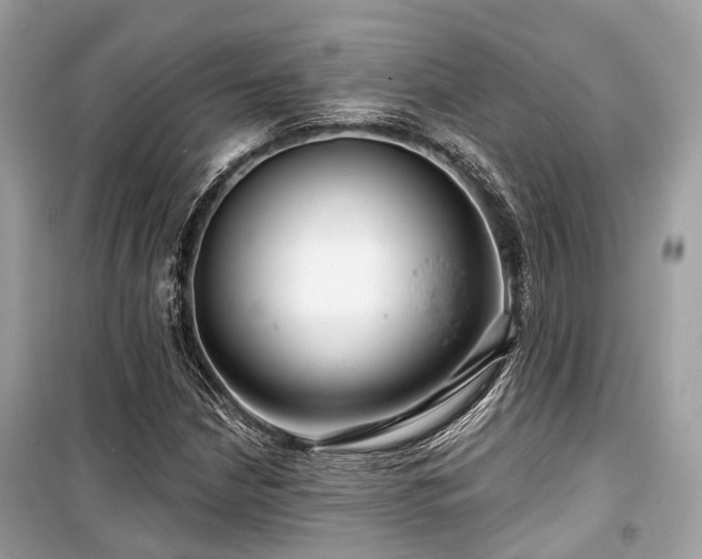 X0000099581210200805161227
