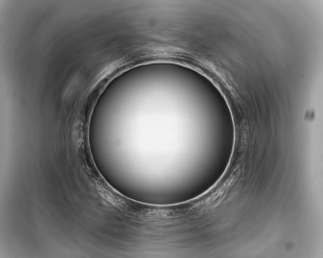 X0000099581211200805161227