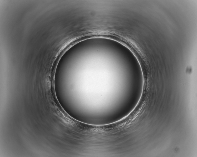X0000099581212200805161227