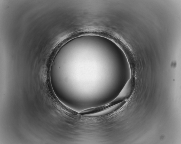 X0000099581213200805161227