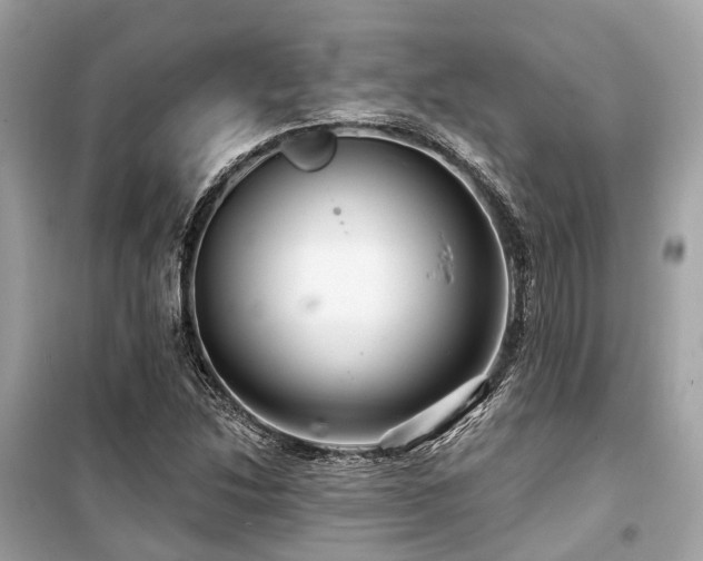 X0000099581214200805161227