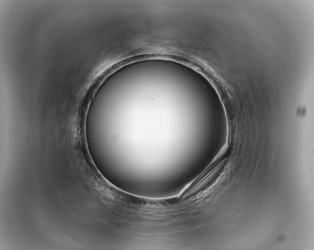 X0000099581215200805161227