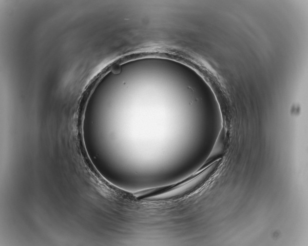 X0000099581216200805161227