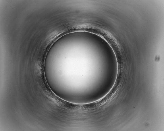 X0000099581217200805161227