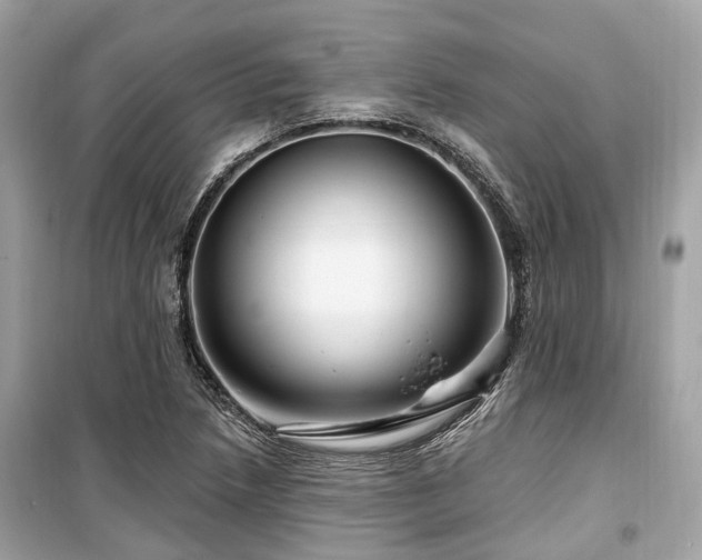X0000099581218200805161227
