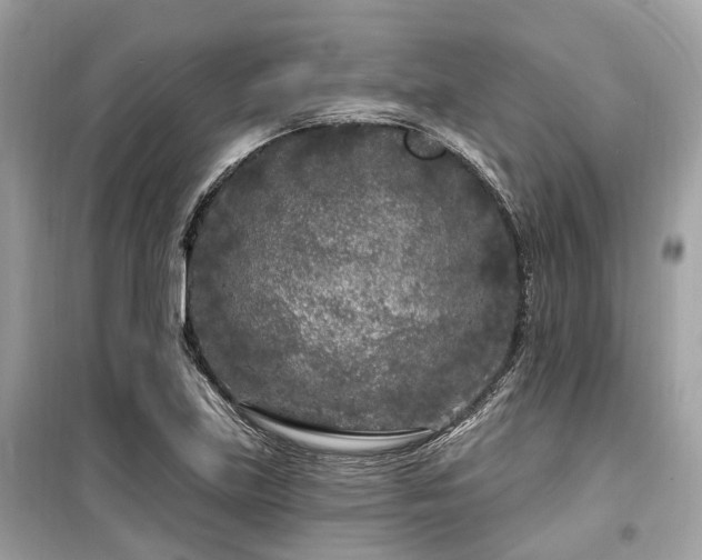 X0000099581219200805161227
