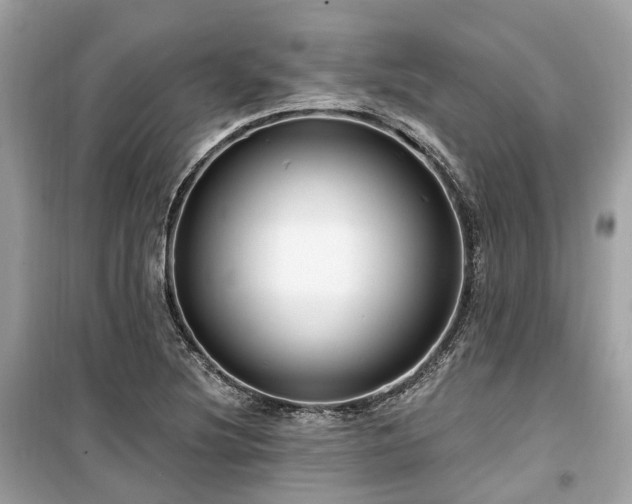 X0000099581220200805161227
