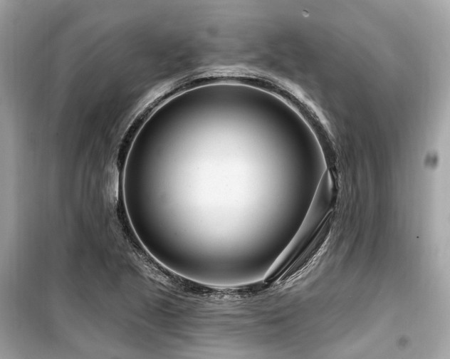X0000099581221200805161227