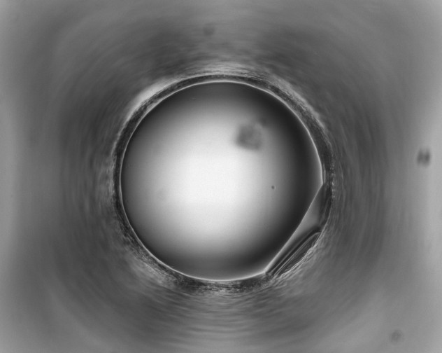 X0000099581222200805161227
