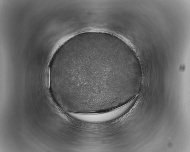 X0000099581223200805161227