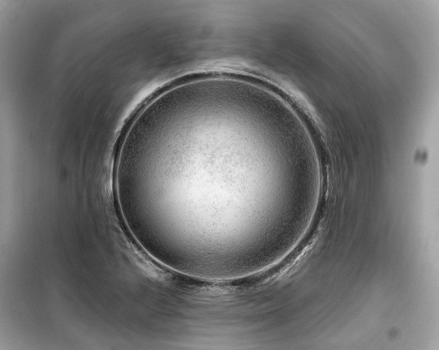 X0000099581224200805161227
