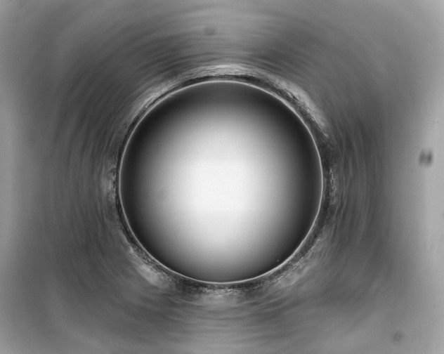 X0000099581225200805161227