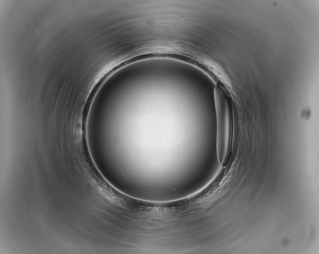 X0000099581226200805161227