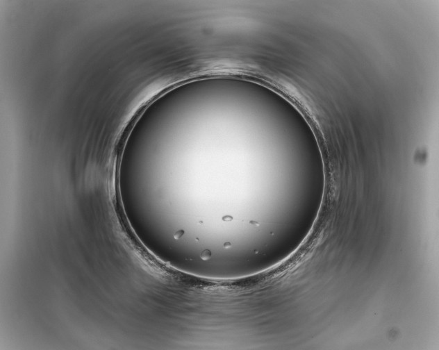 X0000099581227200805161227