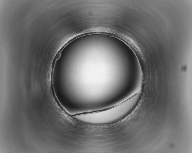 X0000099581228200805161227