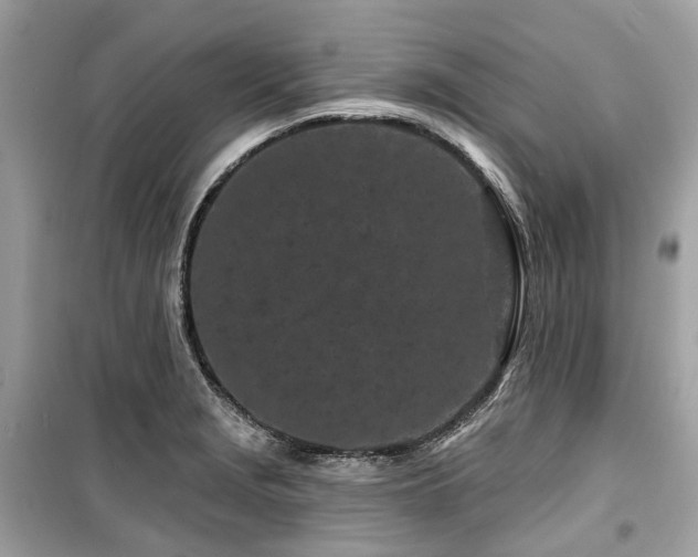 X0000099581229200805161227