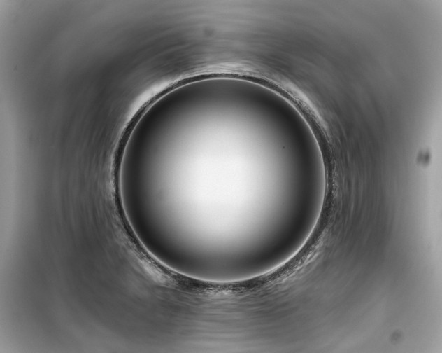 X0000099581230200805161227