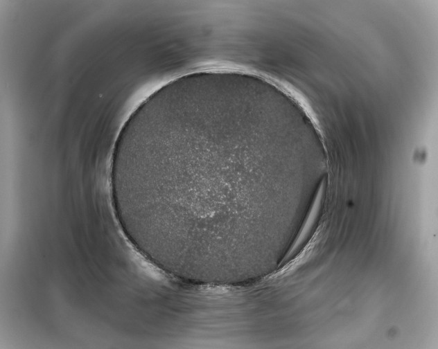 X0000099581231200805161227