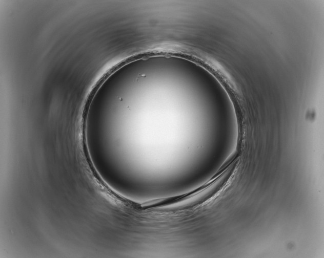 X0000099581232200805161227