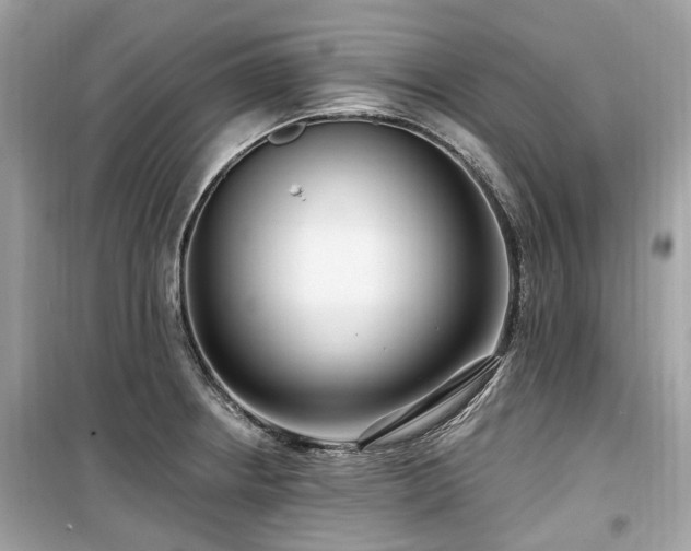 X0000099581234200805161227