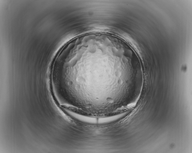 X0000099581235200805161227