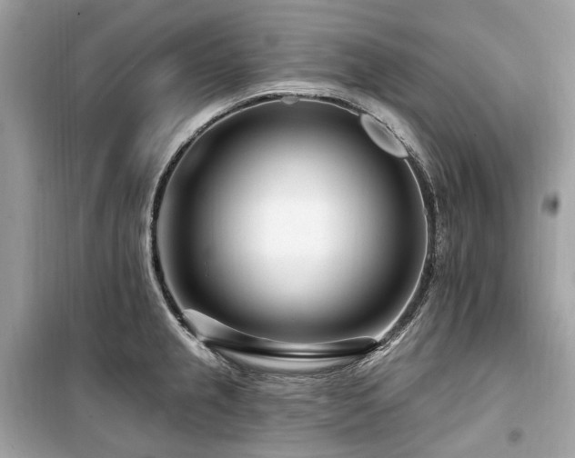X0000099581237200805161227