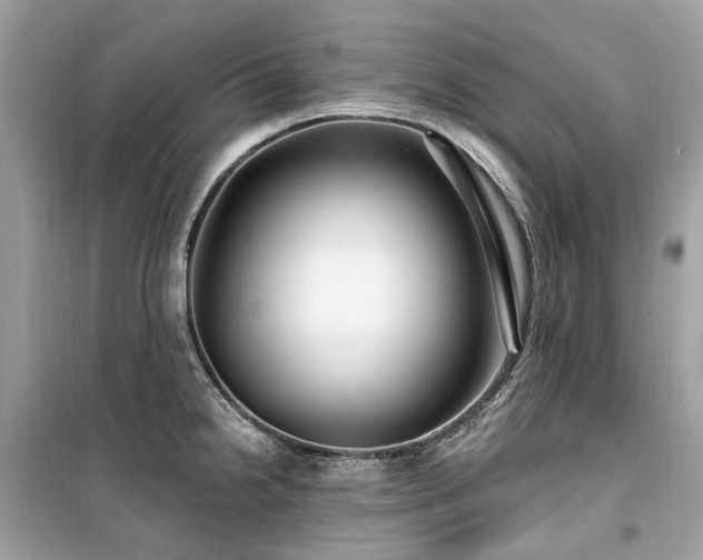 X0000099581238200805161227