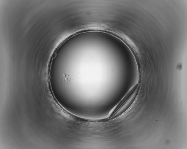 X0000099581240200805161227