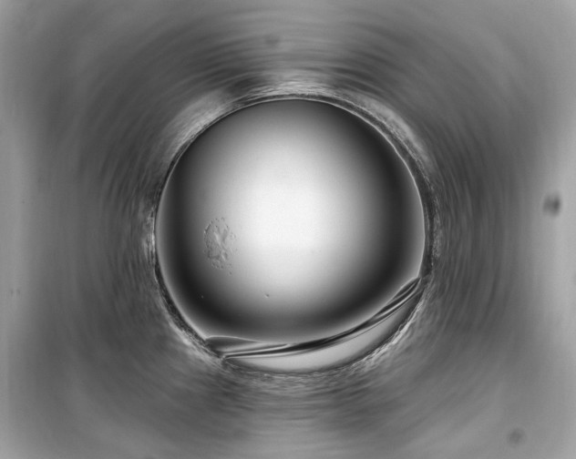X0000099581241200805161227