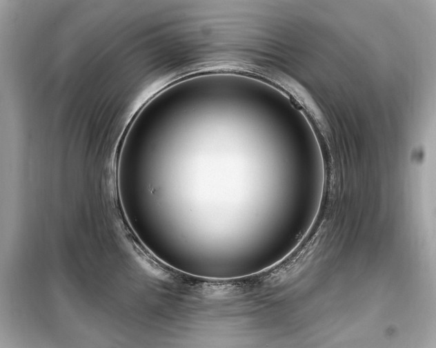 X0000099581242200805161228