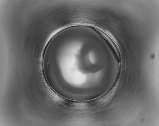 X0000099581246200805161228