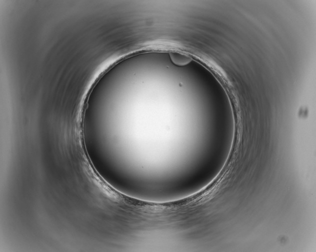 X0000099581248200805161228
