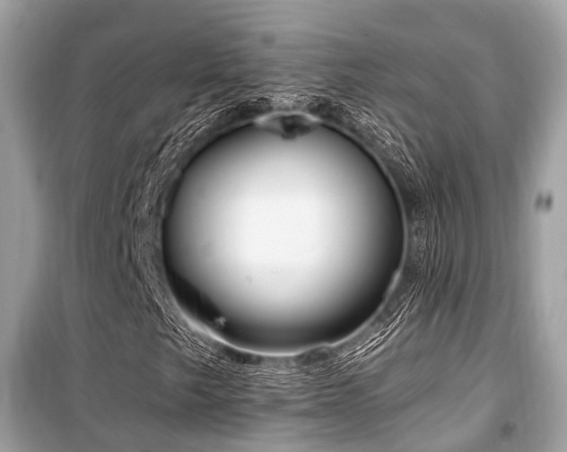 X0000099581249200805161227