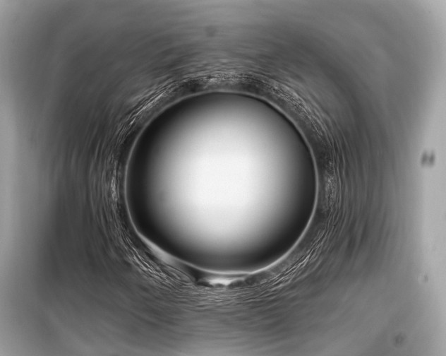 X0000099581250200805161227