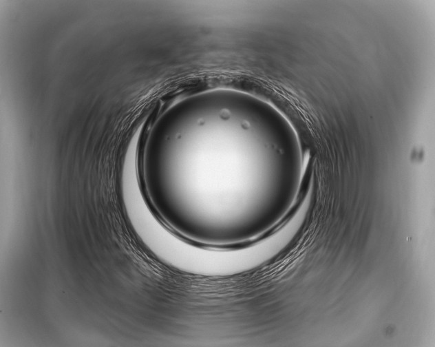 X0000099581252200805161227